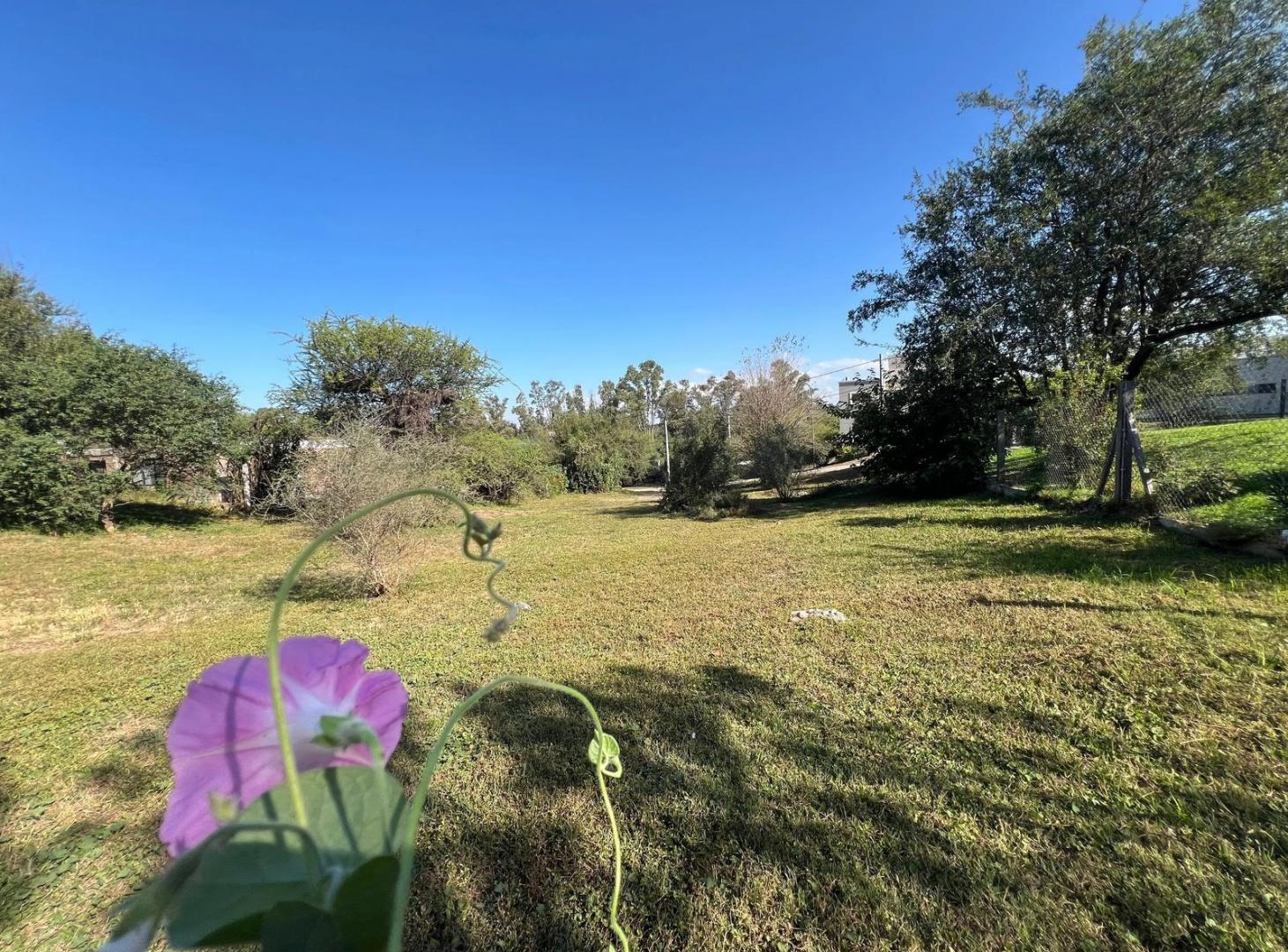 Foto de Terreno en Cumbres del Golf, imagen 5