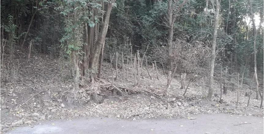 Foto de Terreno en Rio Ceballos con Escritura, imagen 2