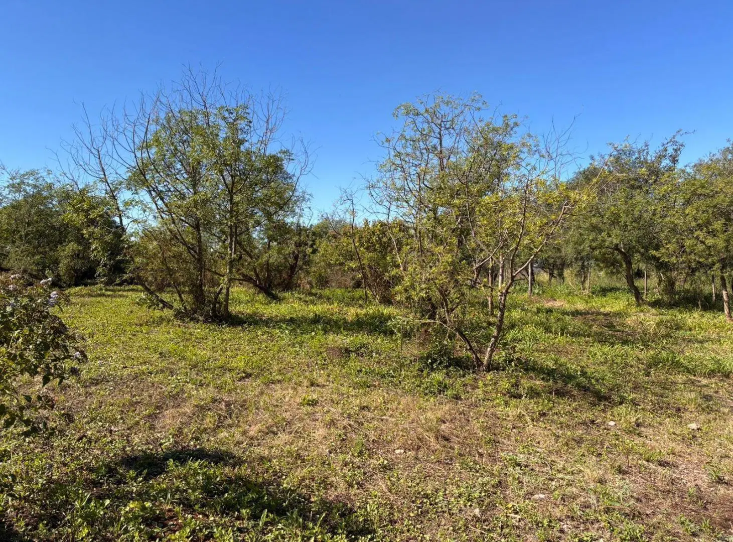Terreno Exclusivo en Río Ceballos - Barrio Los Vascos 1098 m con Vistas Privilegiadas 4