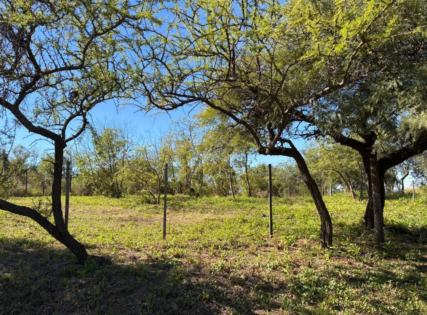 Terreno Exclusivo en Río Ceballos - Barrio Los Vascos 1098 m con Vistas Privilegiadas 2