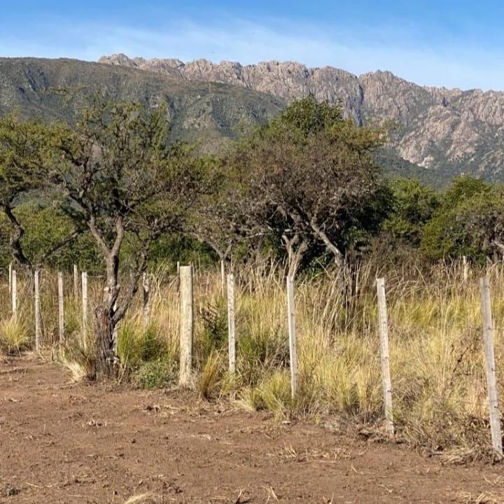 VENTA DE LOTES CON VISTAS UNICAS!! CORTADERAS, SAN LUIS.