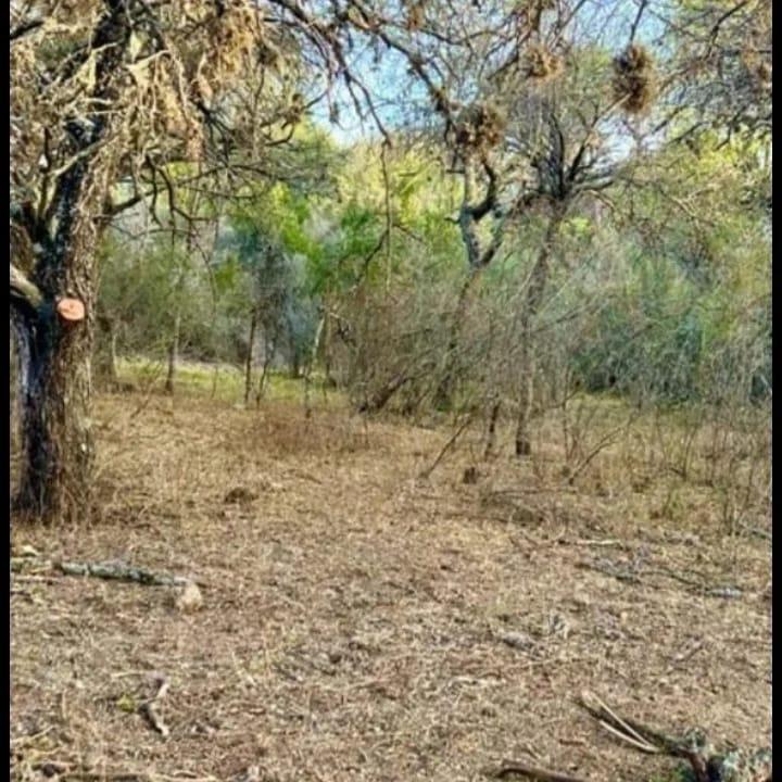 Foto de PREVENTA!! EXCELENTE LOTEO EN LOS MOLLES, SAN LUIS, imagen 4