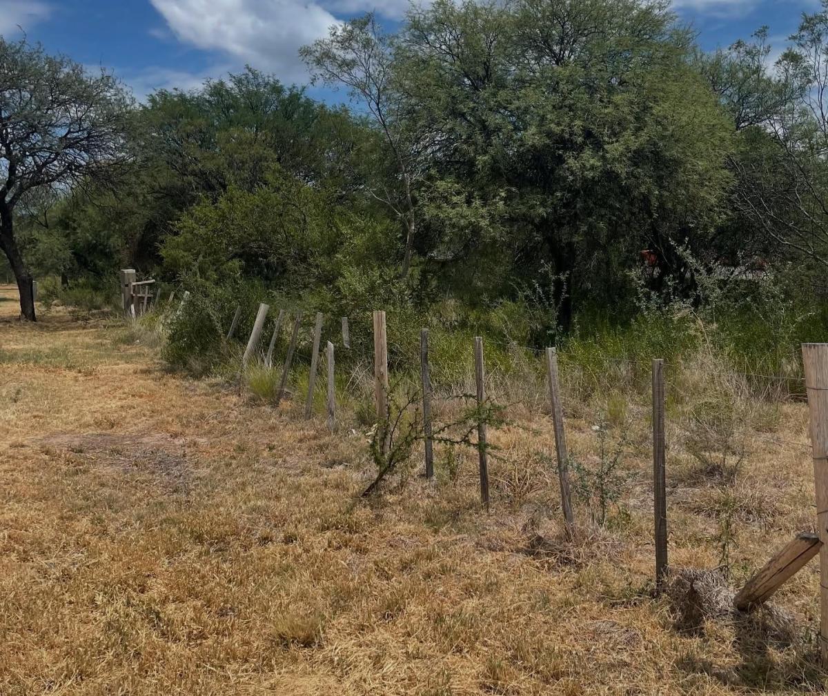 Foto de Lote de 1058m2 en Los Molles - Loteo Estación Paris - San Luis, imagen 2