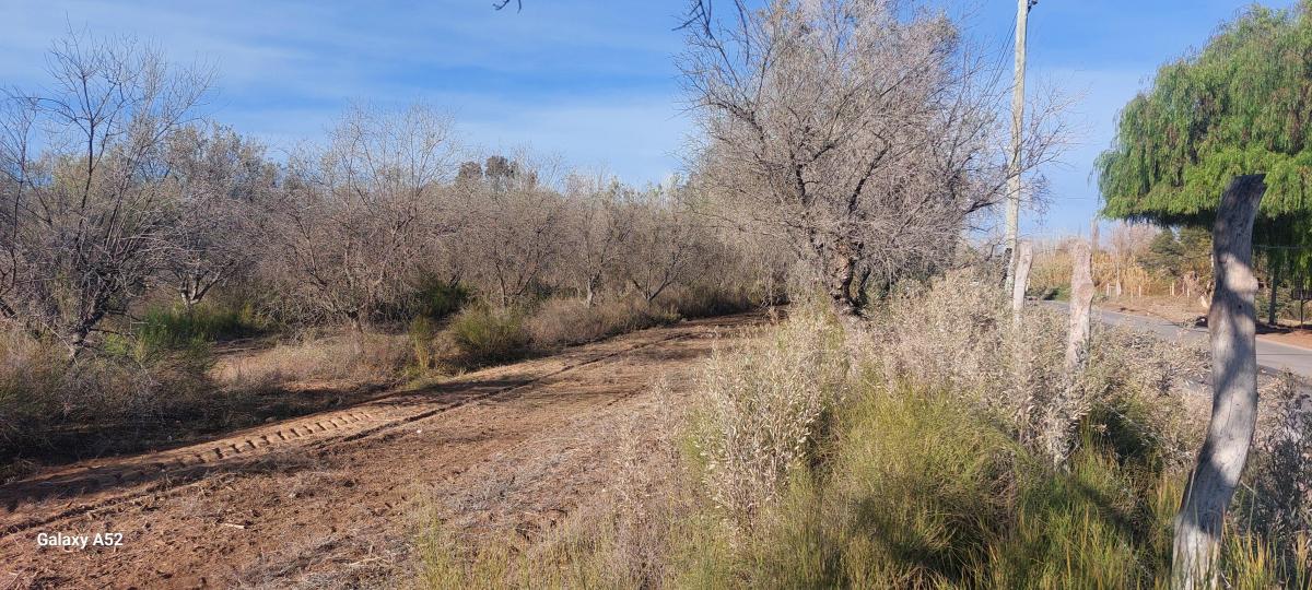 Vendo Terreno en Maipú 3