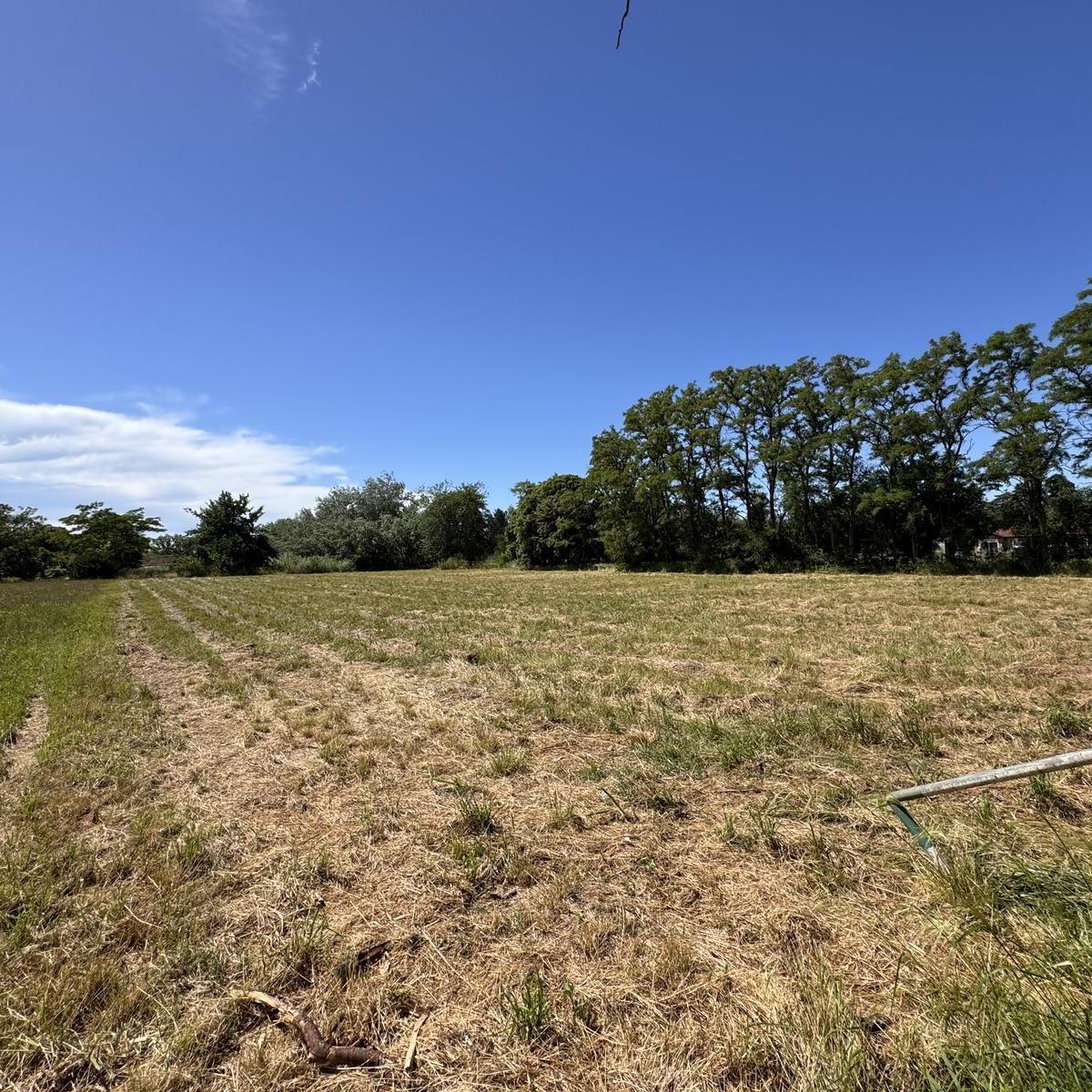 Terreno de 4869 m² en Mercedes, Ideal Quinta, Posible Subdivision. 2