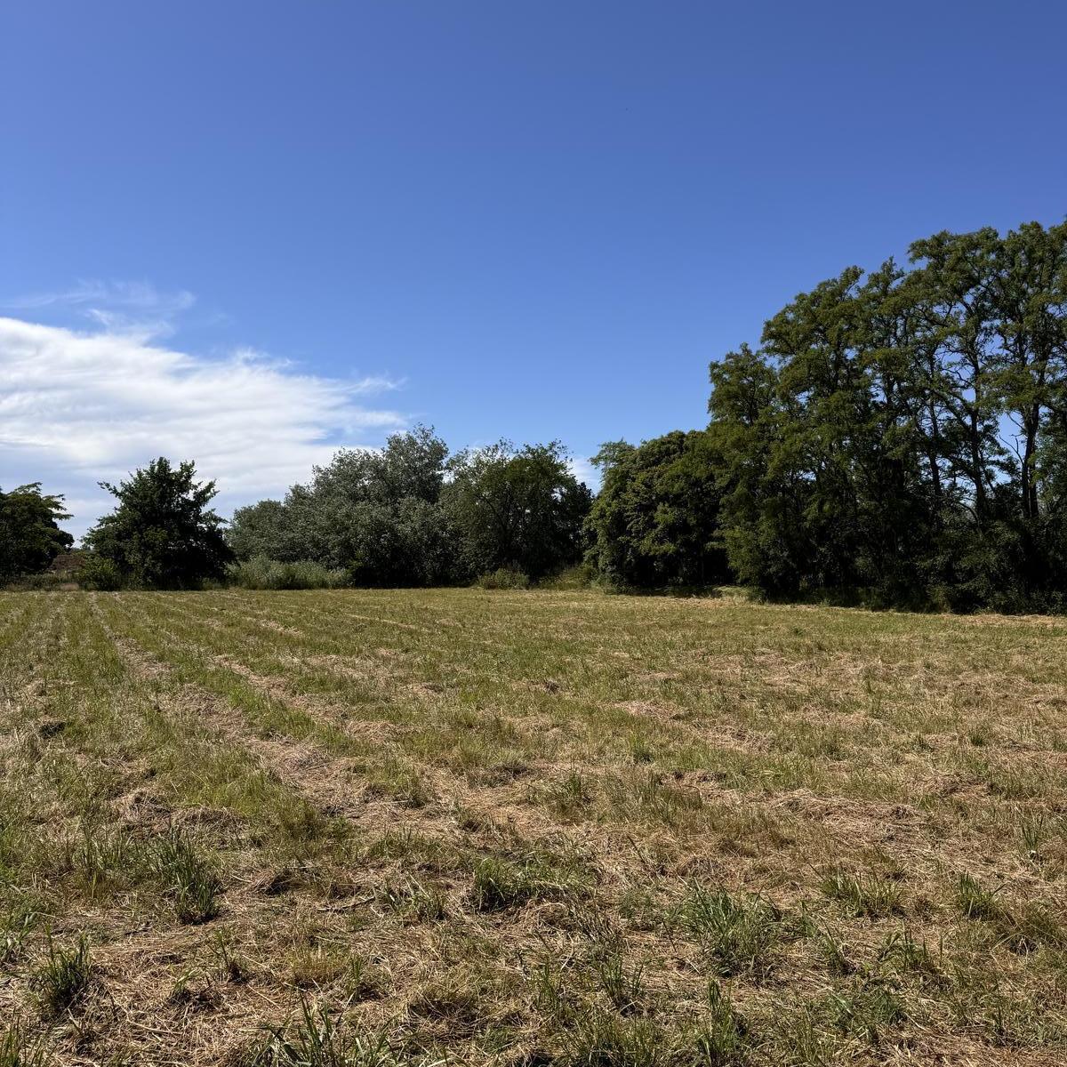 Terreno de 4869 m² en Mercedes, Ideal Quinta, Posible Subdivision. 3