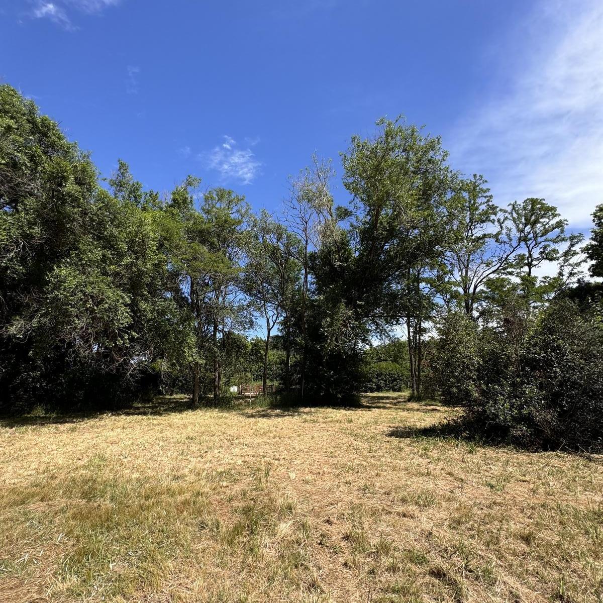 Terreno de 4869 m² en Mercedes, Ideal Quinta, Posible Subdivision. 5