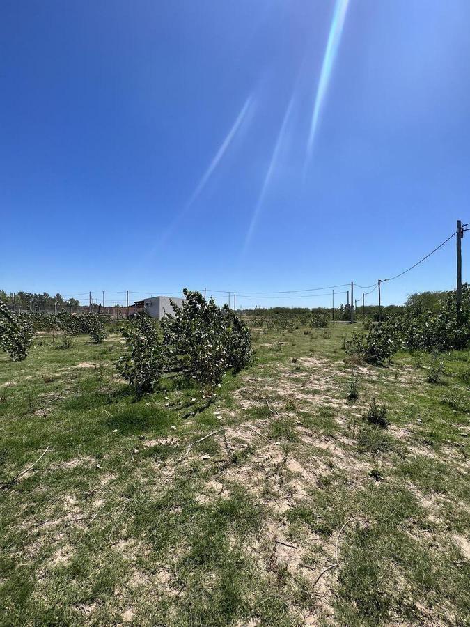 Terreno Venta en Chivilcoy 400 m² 1
