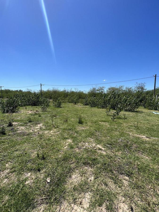 Terreno Venta en Chivilcoy 400 m² 3