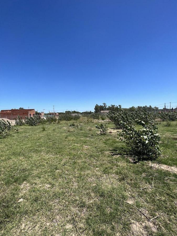 Terreno Venta en Chivilcoy 400 m² 5