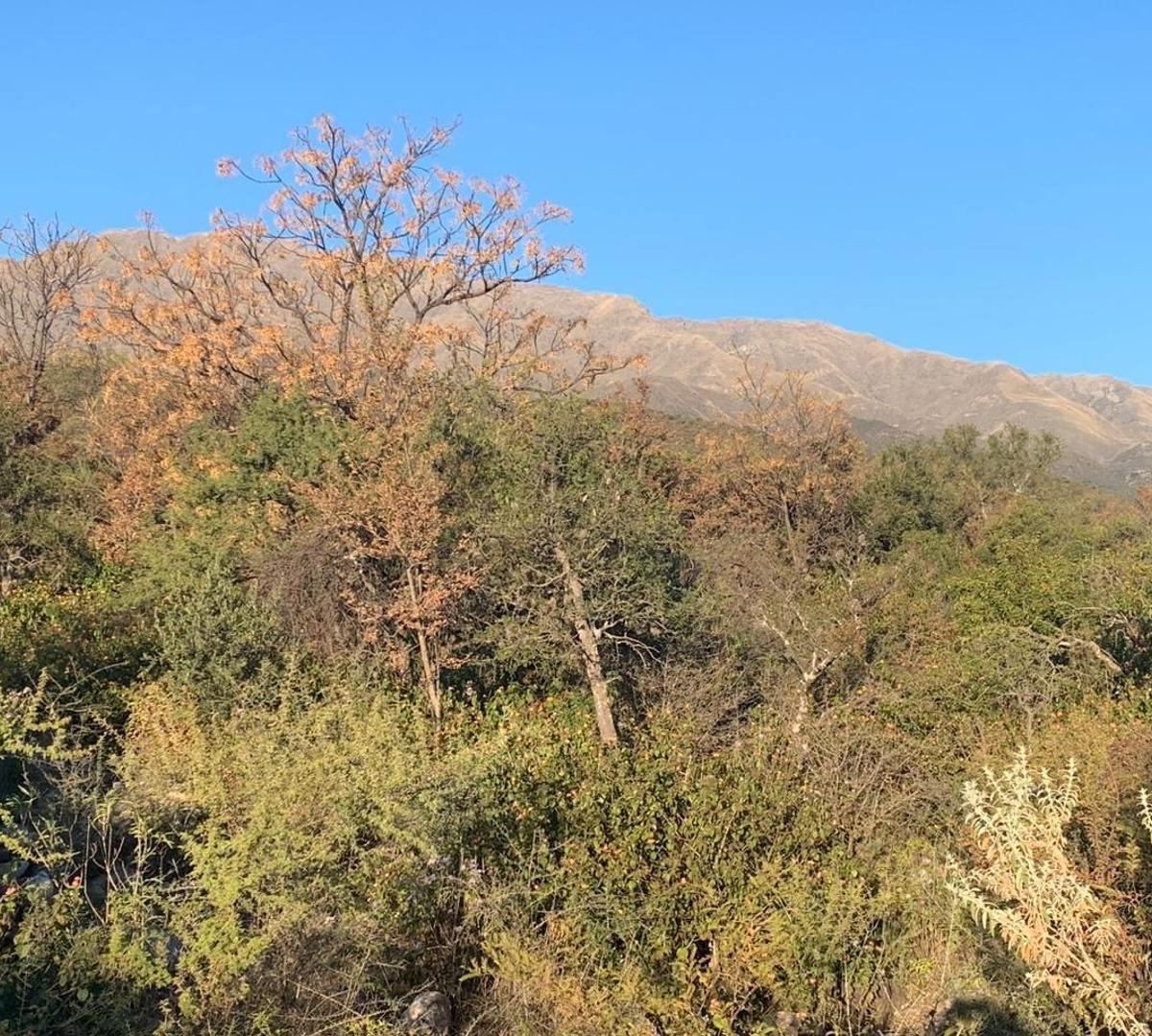 Terreno en Traslasierra 4