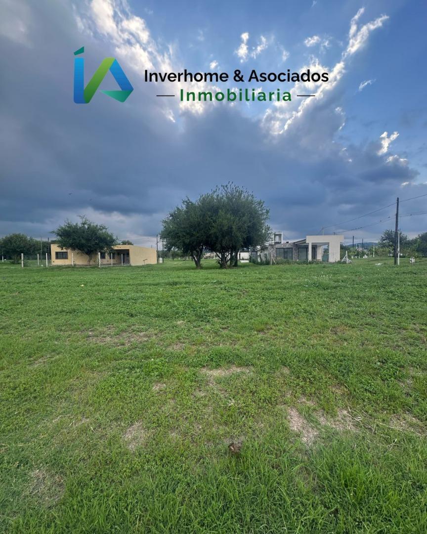 Foto de Terreno a la venta en Tejas 4, imagen 4