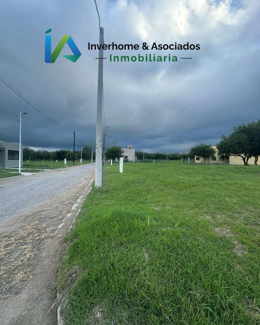 Foto de Terreno a la venta en Tejas 4, imagen 4