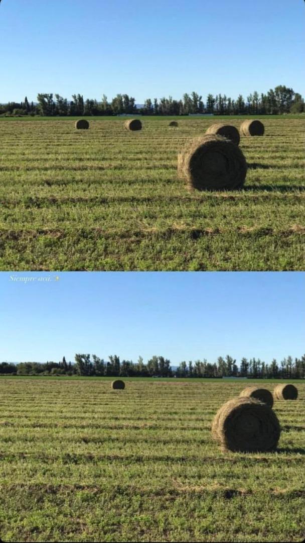 Foto de Campo en Villa Dolores, imagen 1