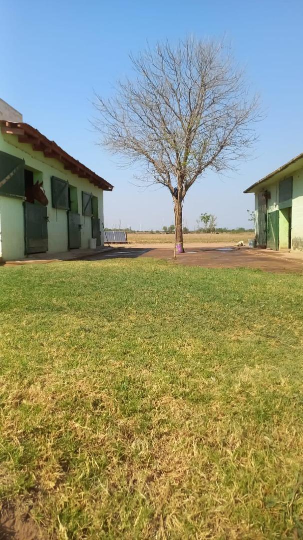 Foto de Campo en Villa Dolores, imagen 3