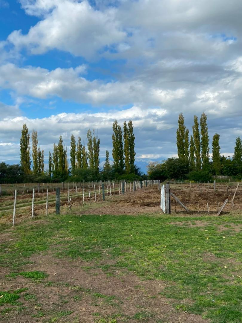 Foto de Campo en Villa Dolores, imagen 2