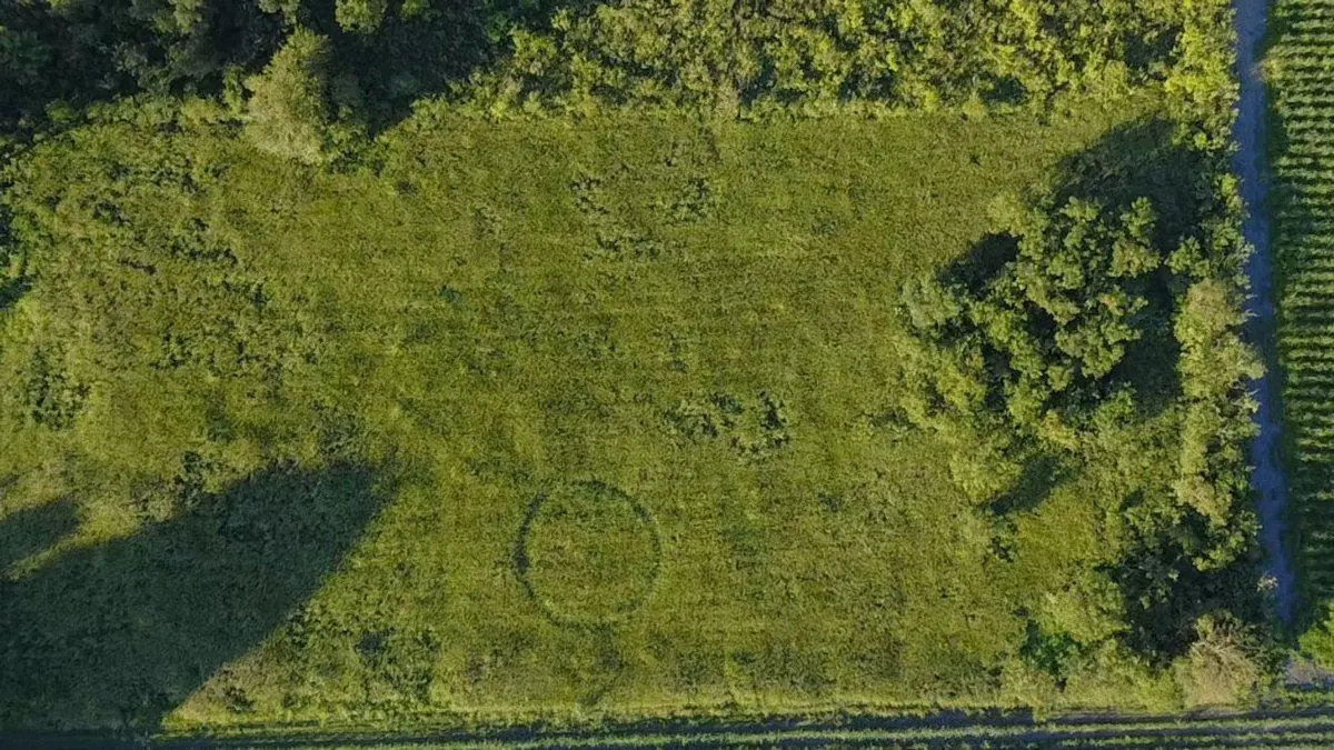 VENTA TERRENO DE 15.600M2 EN COLOMBRES CRUZ ALTA 2