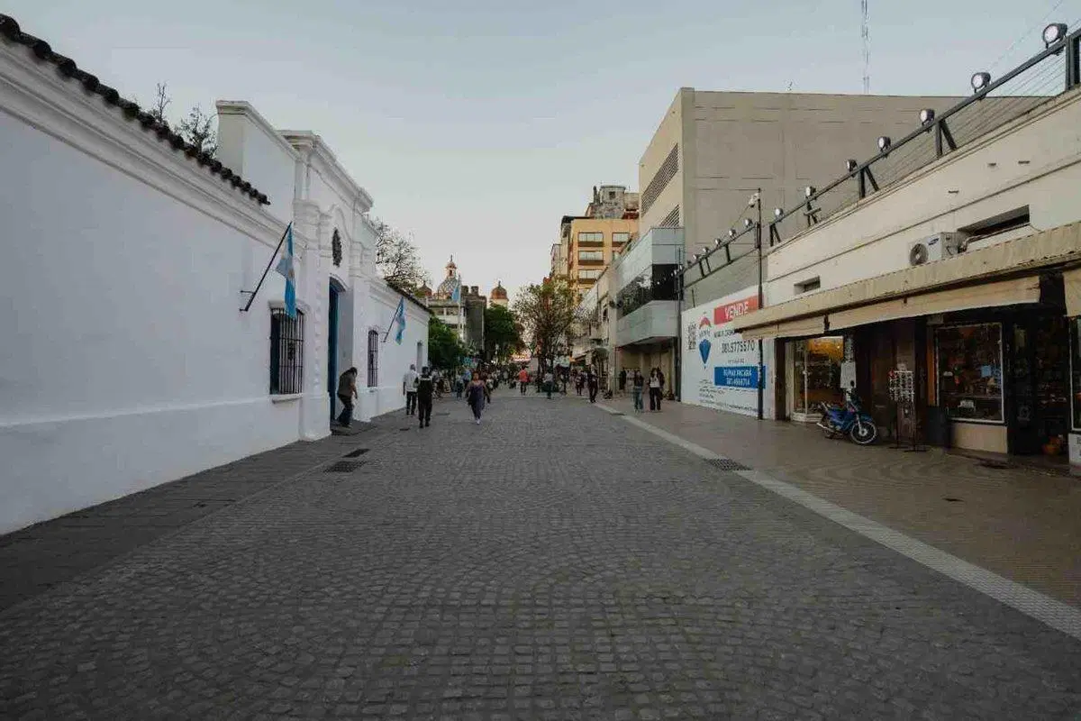 VENTA LOTE LIMPIO 670m2 PEATONAL CASA HISTORICA 8