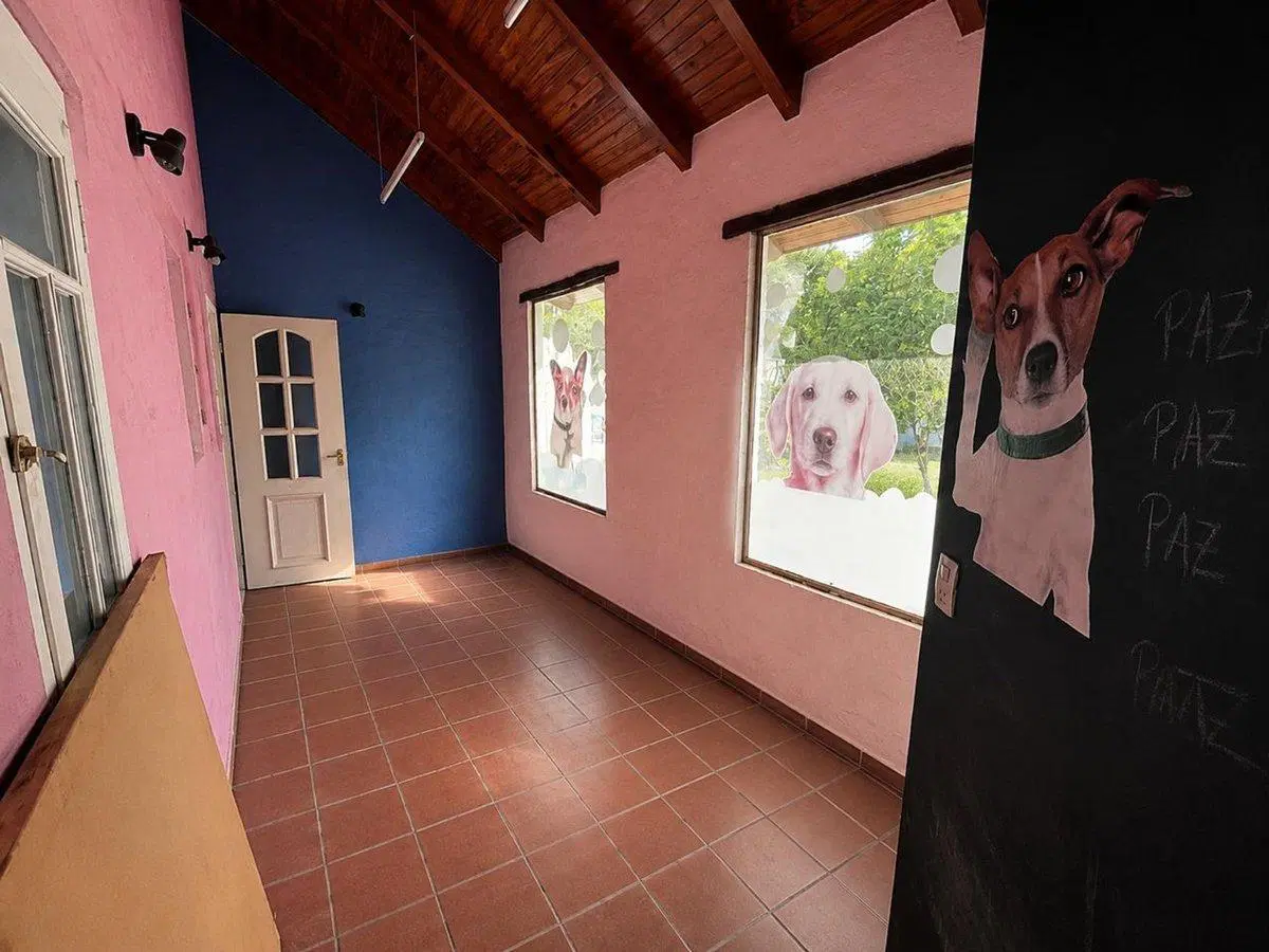 LOCAL COMERCIAL EN ALQUILER YERBA BUENA 4