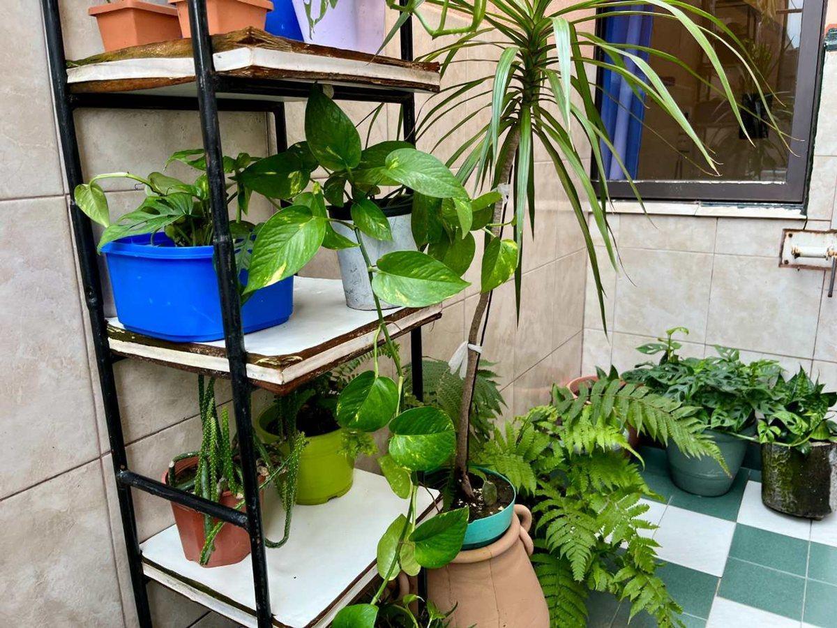 Foto de VENTA DEPARTAMENTO 3 DORM EN AV COLON CON TERRAZA, imagen 5