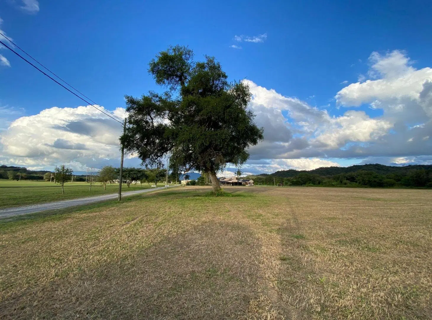 VENTA LOTE EN CLUB DE CAMPO LAS CORTADERAS- TAPIA 3