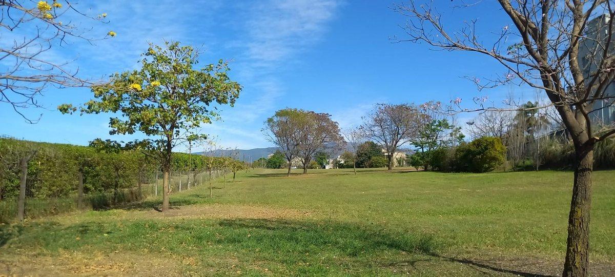 Foto de VENTA TERRENO CLUB DE CAMPO LOS NOGALES, imagen 2