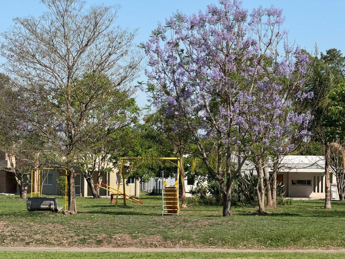 Foto de VENTA TERRENO CENTRAL PRADERAS DEL NOGAL, imagen 2
