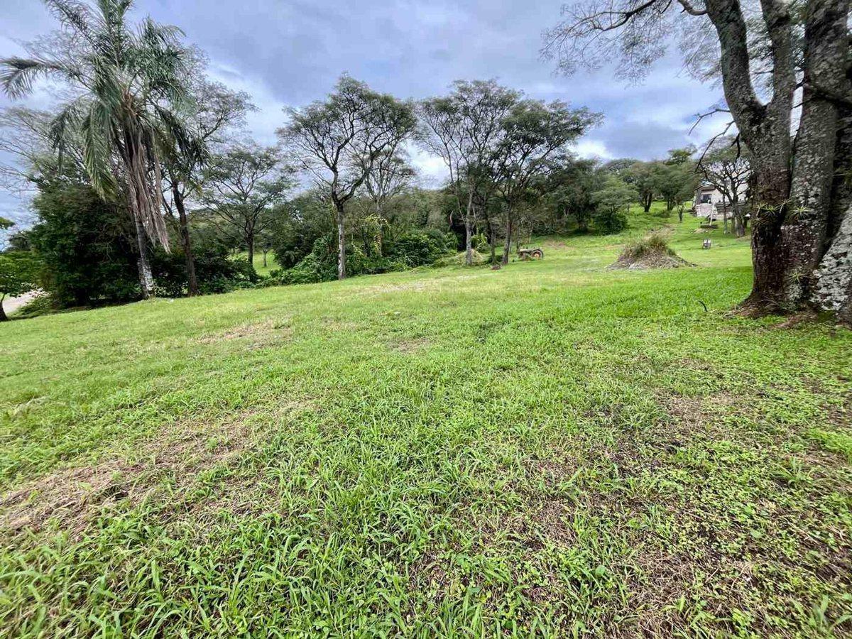 Foto de VENTA LOTE COUNTRY LA ARBOLEDA, imagen 4