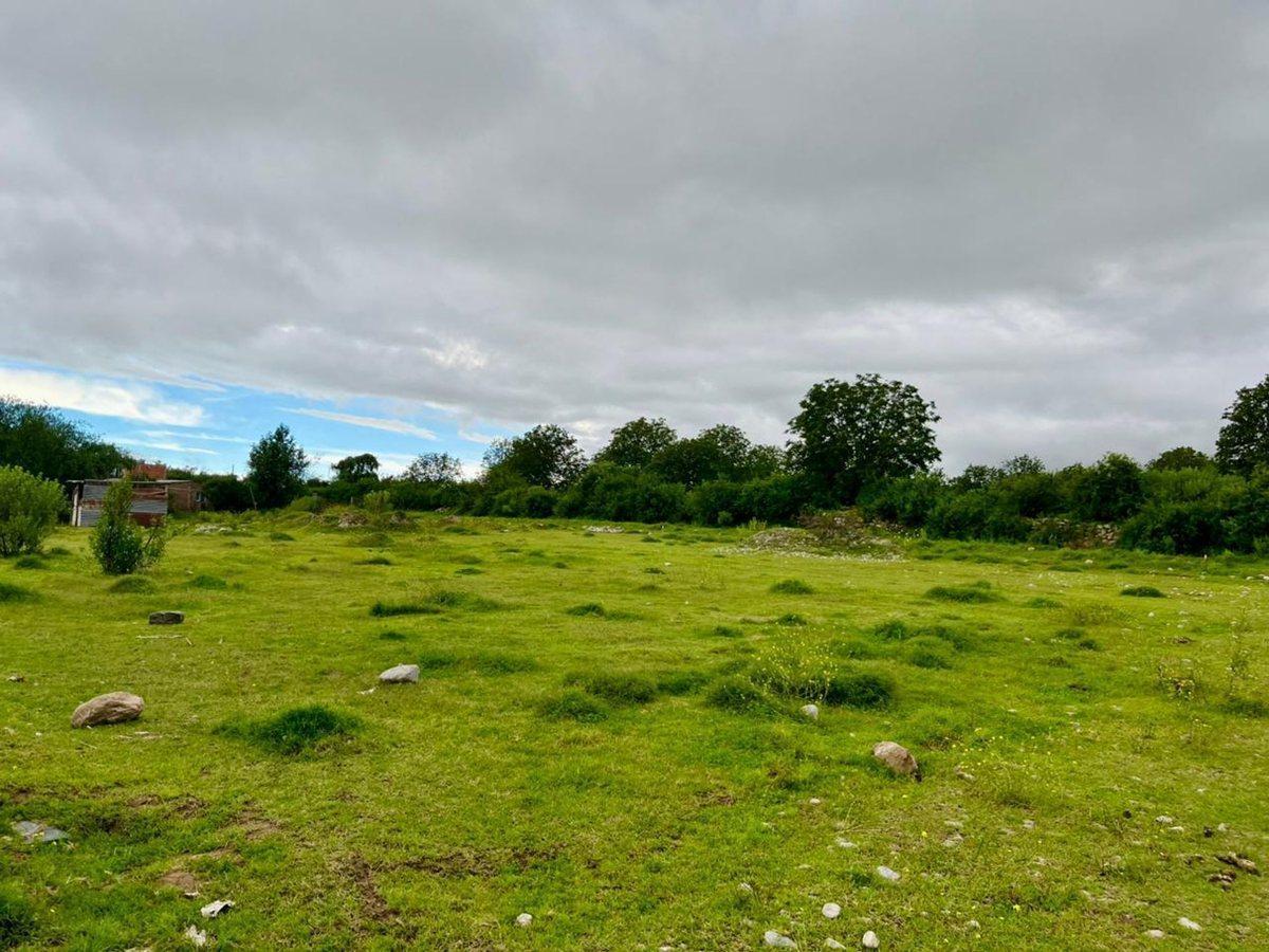 Foto de LOTE EN VENTA EN LA OVEJERÍA, TAFÍ DEL VALLE, imagen 4