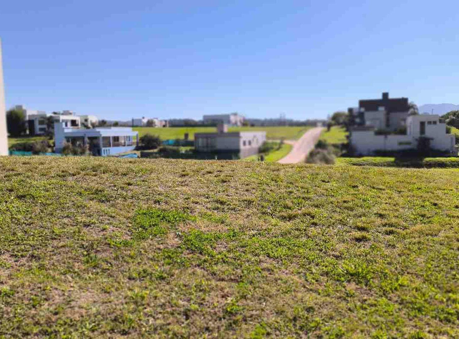 Foto de Terreno en venta – Portal del Sol | Los Nogales, imagen 2