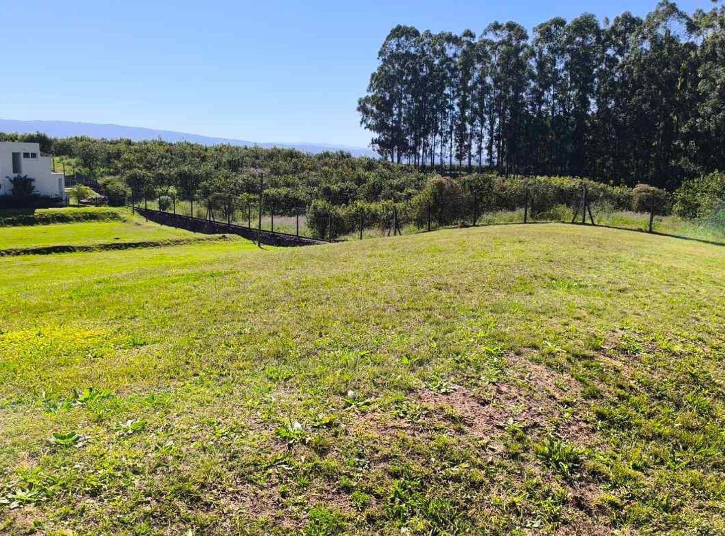Foto de Terreno en venta – Portal del Sol | Los Nogales, imagen 4