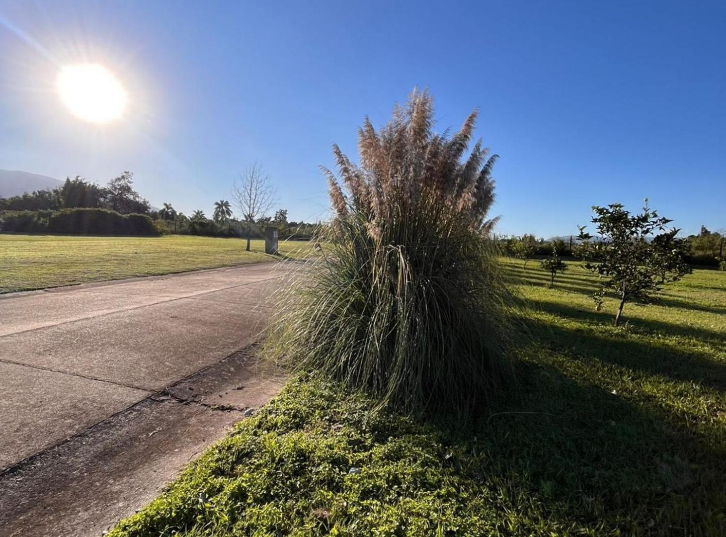 Foto de Venta lote exclusivo en La Cité, Tafi Viejo., imagen 1
