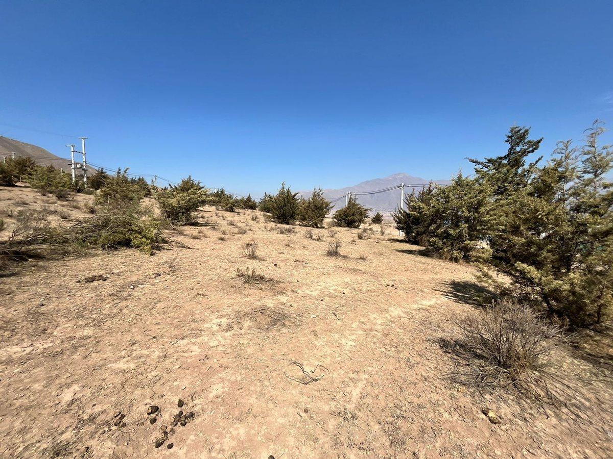 Foto de VENTA TERRENO TAFI DEL VALLE, imagen 3
