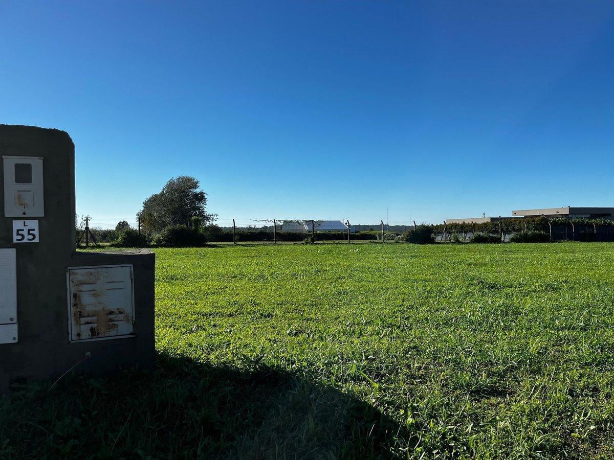 Foto de VENTA TERRENO COUNTRY ALONDRA, imagen 4