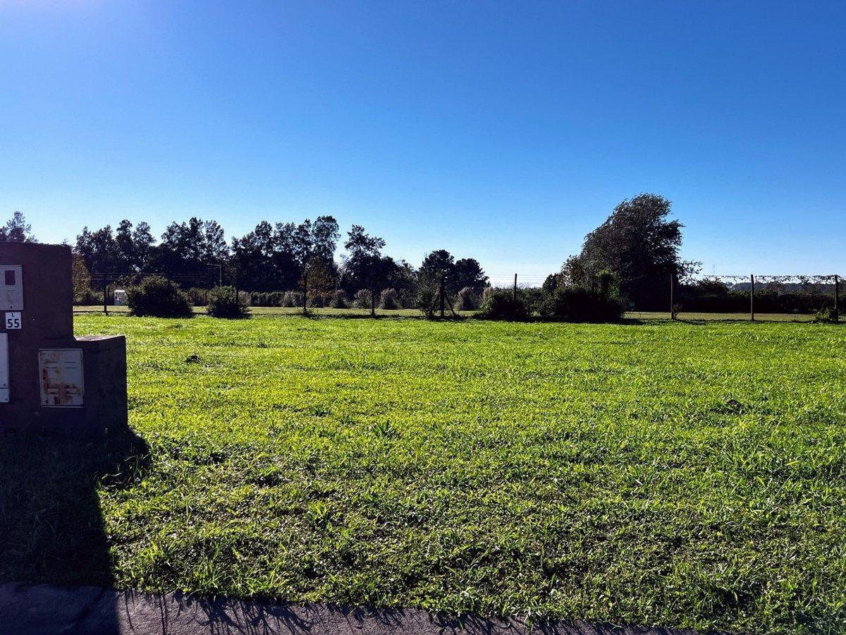 Foto de VENTA TERRENO COUNTRY ALONDRA, imagen 2