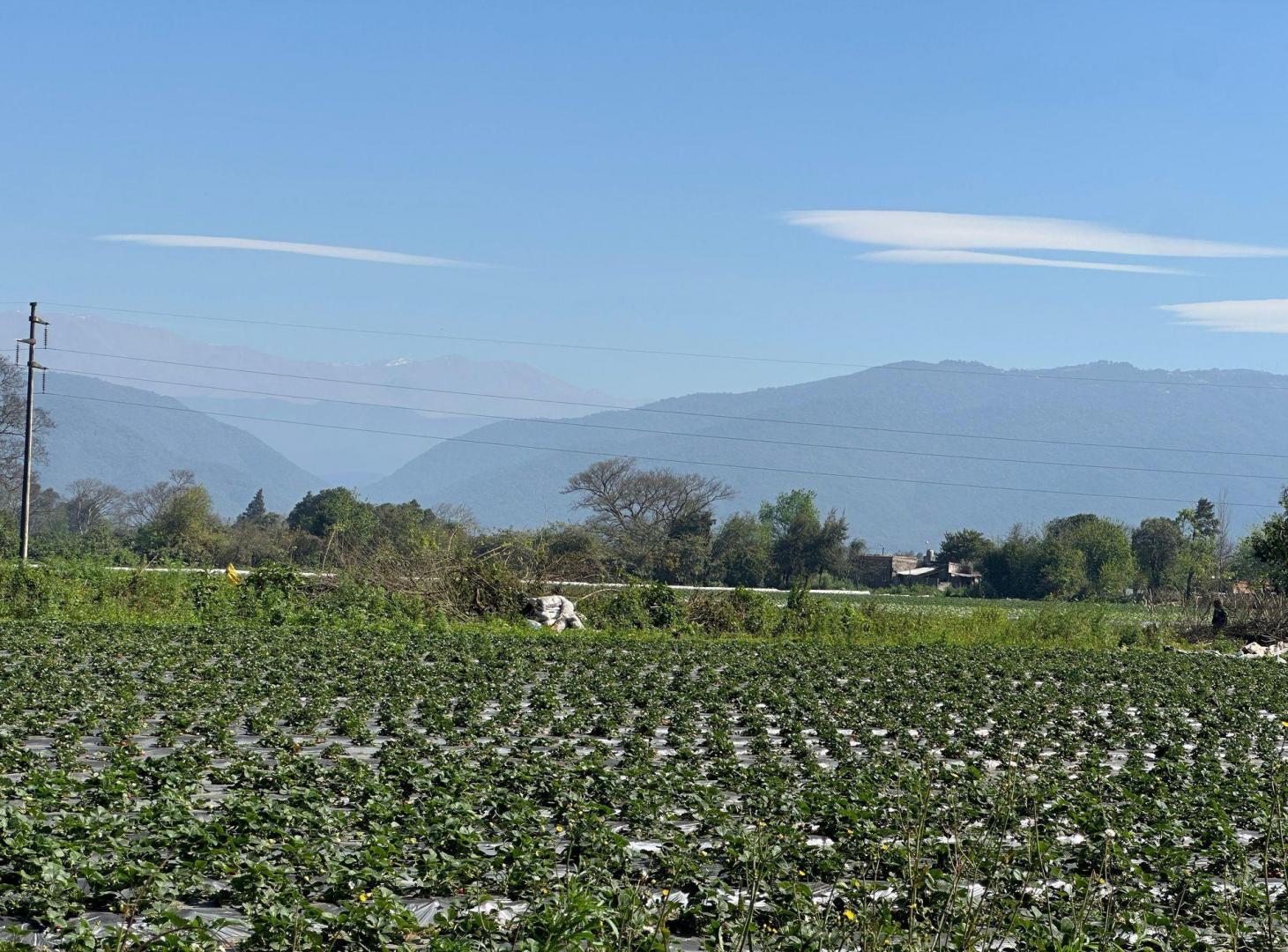 Foto de VENTA FINCA LULES 3,4HA CON GALPON Y SERVICIOS, imagen 4