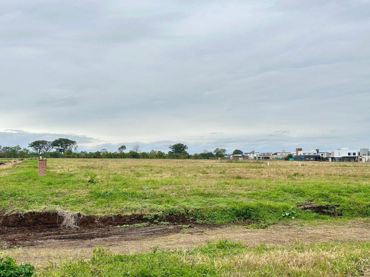 Foto de VENTA 2 LOTES JUNTOS 676 M2 – ALTO DE CEVIL 3, imagen 2