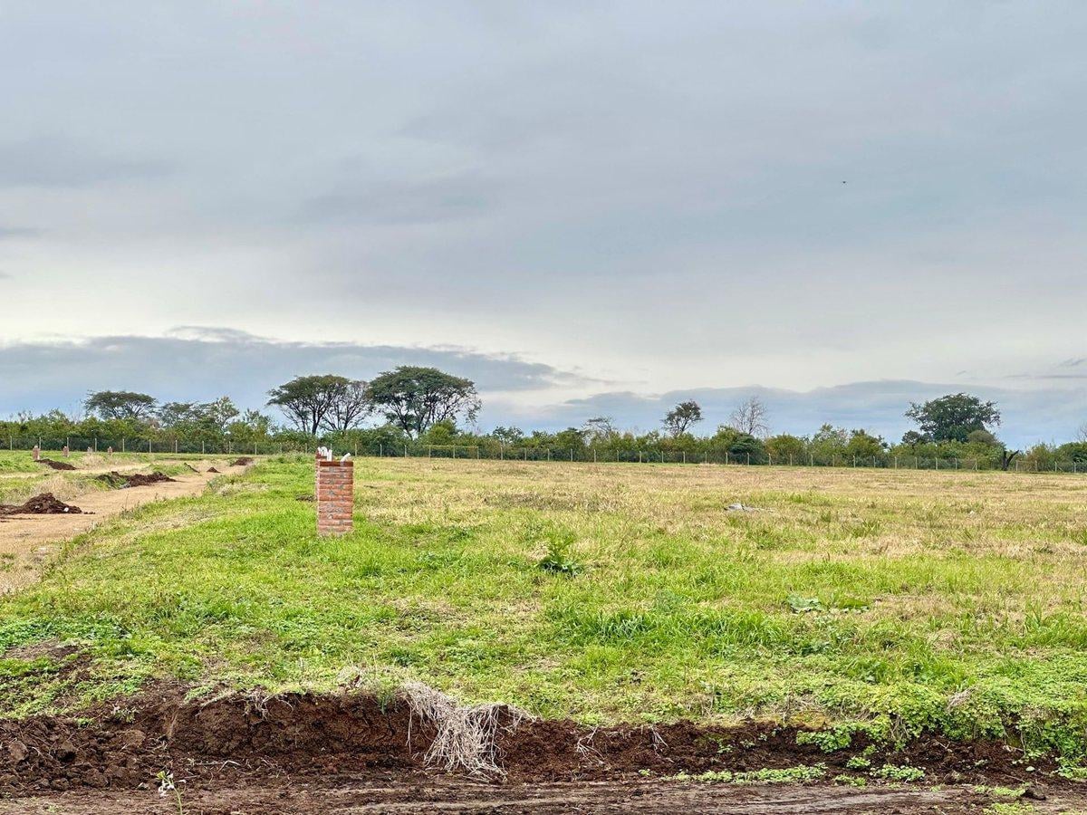 Foto de VENTA 2 LOTES JUNTOS 676 M2 – ALTO DE CEVIL 3, imagen 4