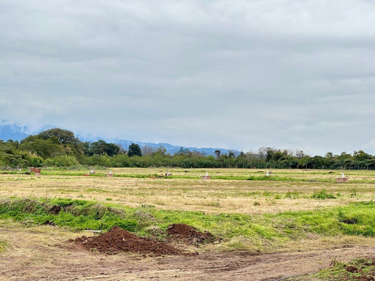 Foto de VENTA 2 LOTES JUNTOS 676 M2 – ALTO DE CEVIL 3, imagen 5