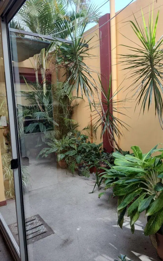 LOCALES COMERCIALES EN ZONA CENTRICA DE SANTO TOME 8