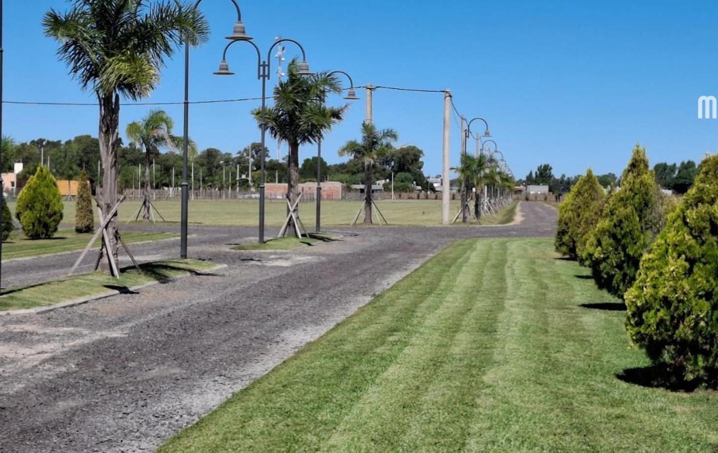 LOTE EN VENTA LOMA VERDE