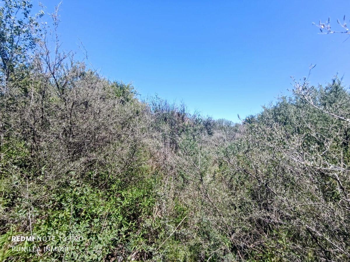 Foto de terreno en capilla del monte, provincia de cordoba, imagen 3