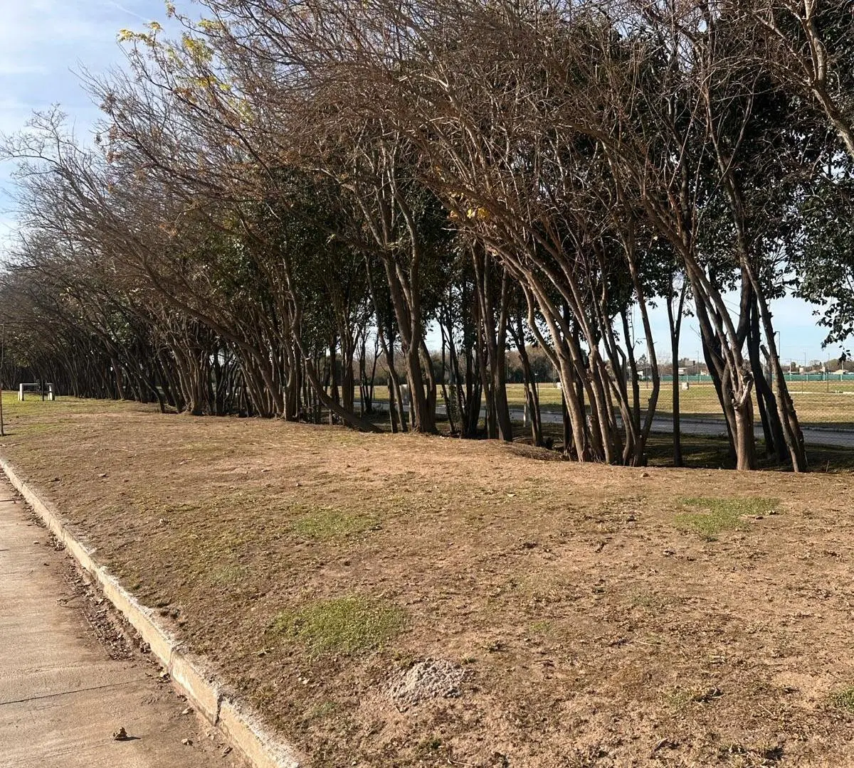 Lote apto duplex Distrito Sur 4