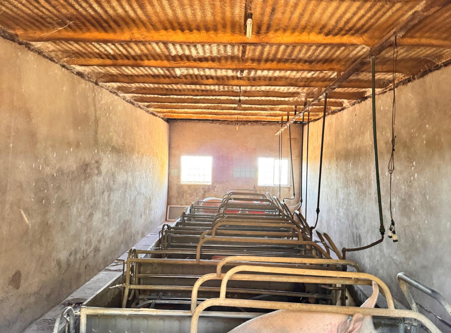 Foto de 30 HECTARÉAS 10 SISTEMATIZADAS A LA VENTA SENILLOSA, imagen 5
