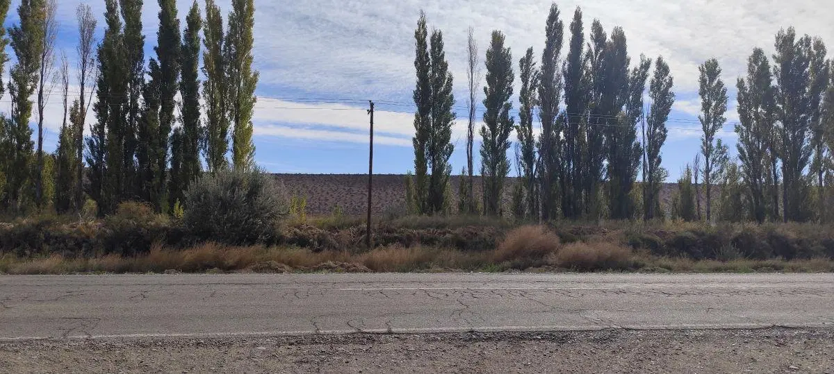 10 hectareas en Venta en Añelo para Loteo Riveras de Añelo con frente de ruta 4
