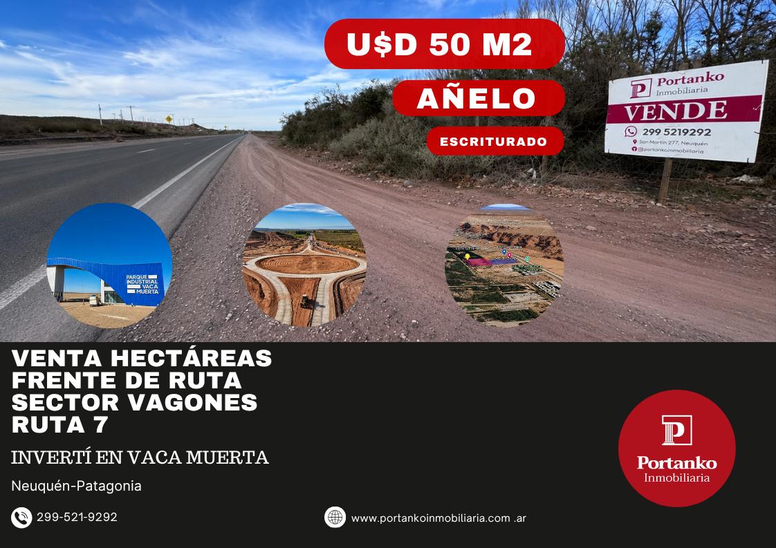 Foto de VENTA HECTAREAS - FRENTE DE RUTA 7 - ESCRITURADO- SECTOR VAGONES, imagen 5
