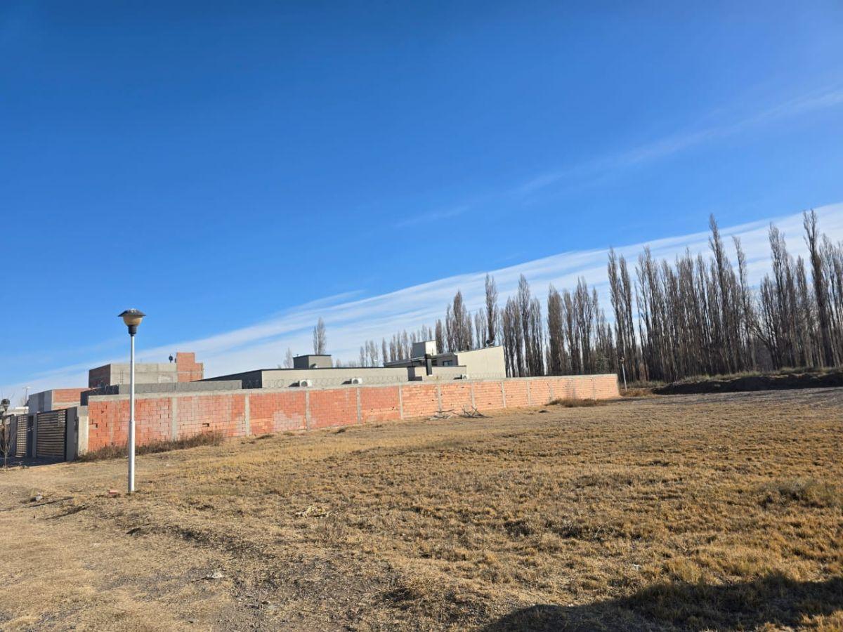 Foto de Venta Lotes en Plottier, imagen 3