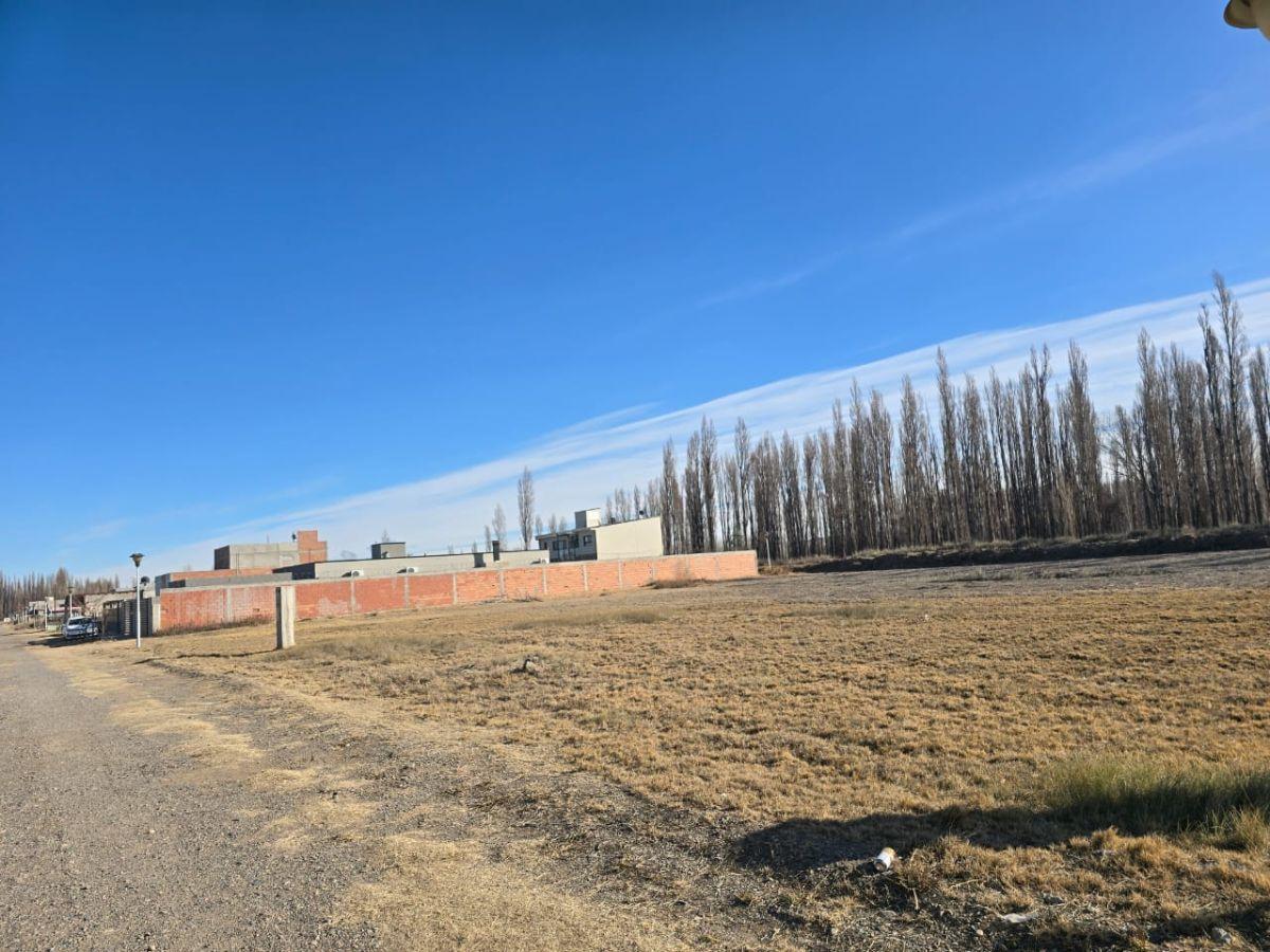 Foto de Venta Lotes en Plottier, imagen 4