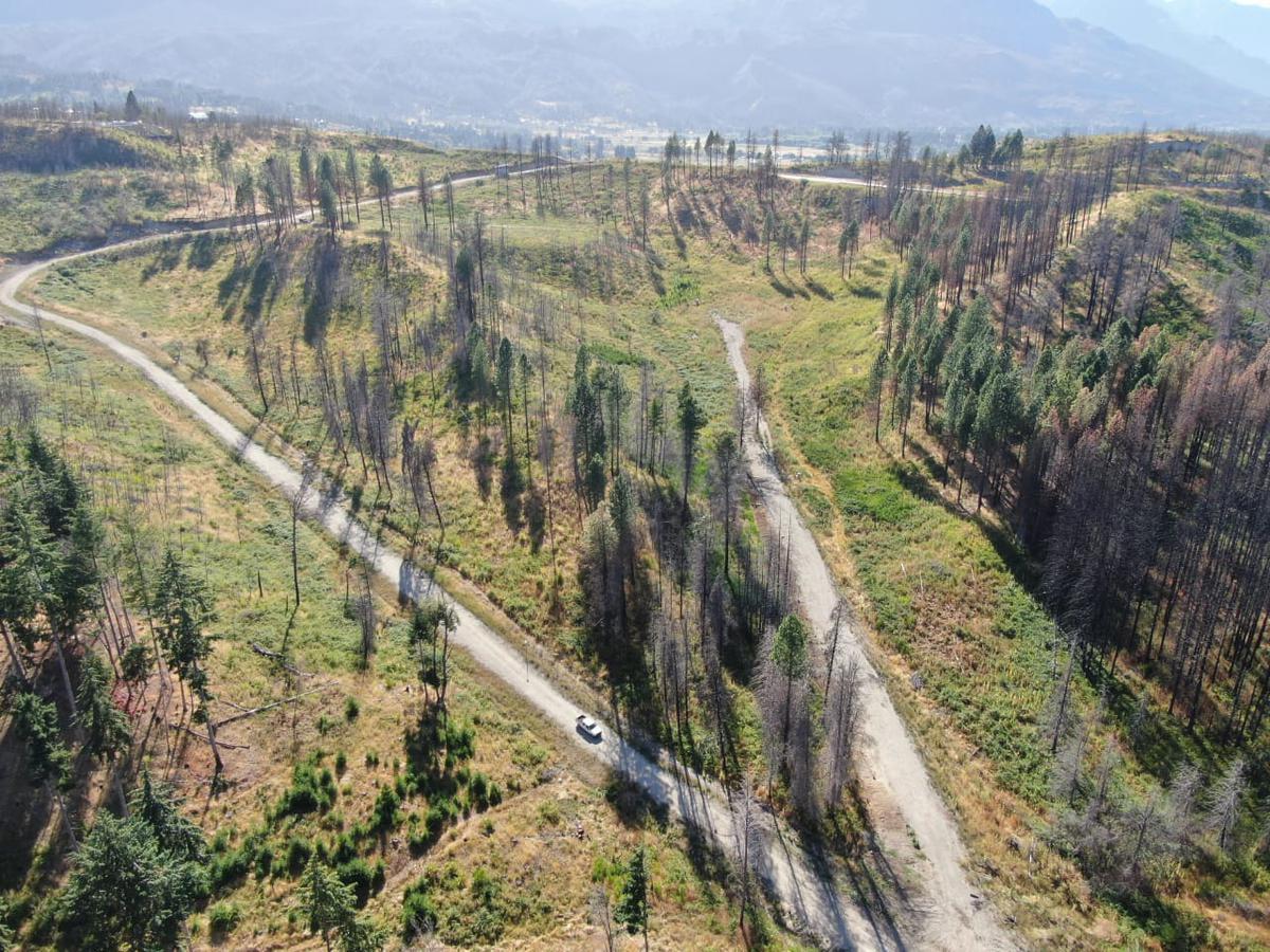 Foto de Lotes de 9.000m2 en la Patagonia - "RAIQUEN" Lago Puelo, imagen 5