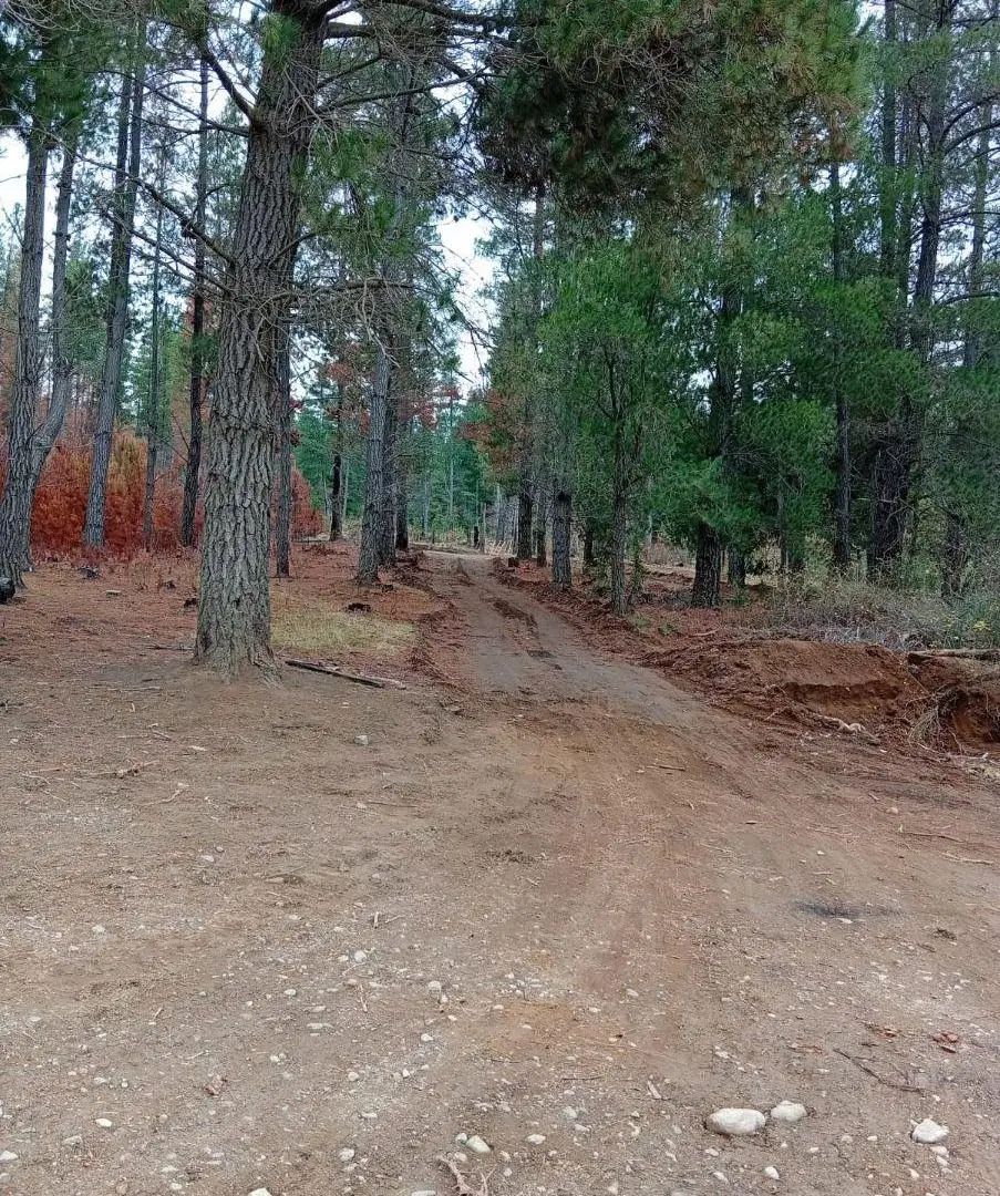 2 hectáreas con casa a estrenar en Puerto Patriada, Epuyén 3
